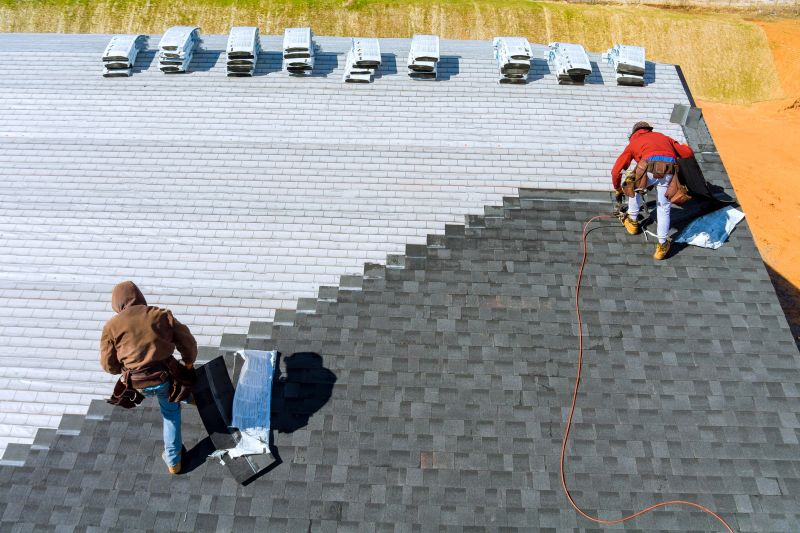 Expert Roofing Technician