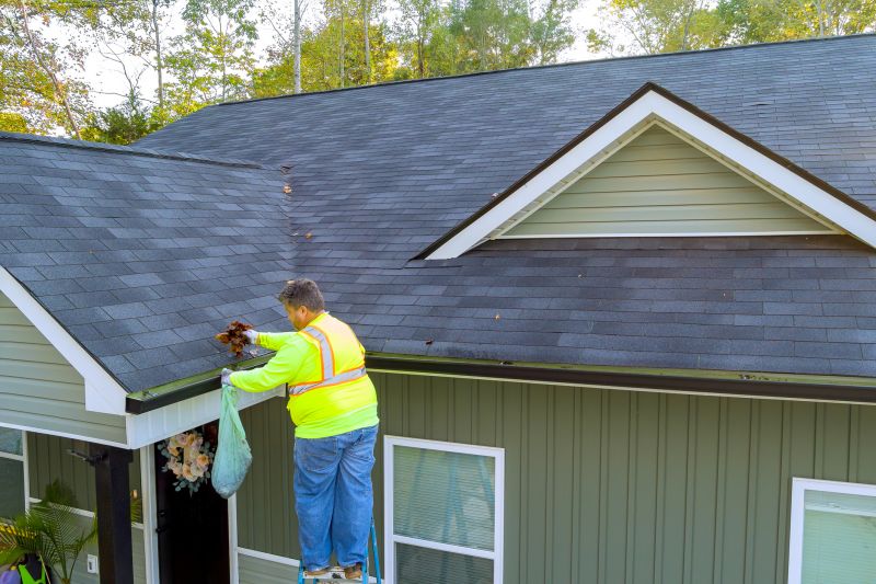 Gutter and Roofing Maintenance